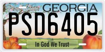 GA license plate PSD6405