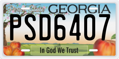 GA license plate PSD6407