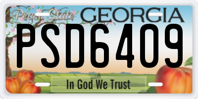 GA license plate PSD6409