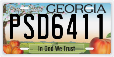 GA license plate PSD6411