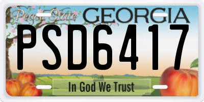 GA license plate PSD6417