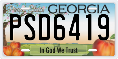 GA license plate PSD6419