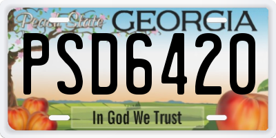 GA license plate PSD6420