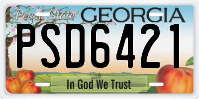 GA license plate PSD6421