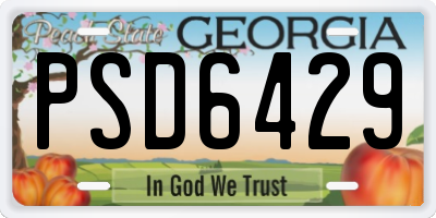 GA license plate PSD6429