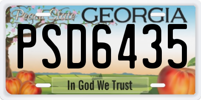 GA license plate PSD6435