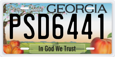 GA license plate PSD6441