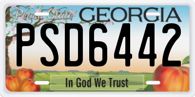 GA license plate PSD6442