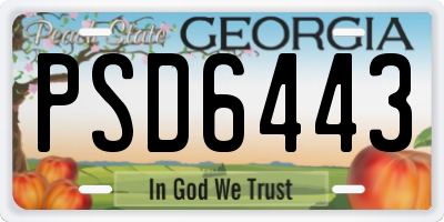 GA license plate PSD6443