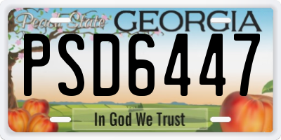 GA license plate PSD6447