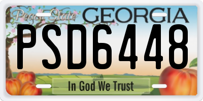 GA license plate PSD6448