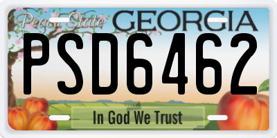GA license plate PSD6462