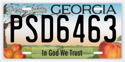 GA license plate PSD6463