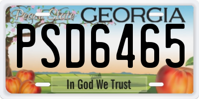 GA license plate PSD6465