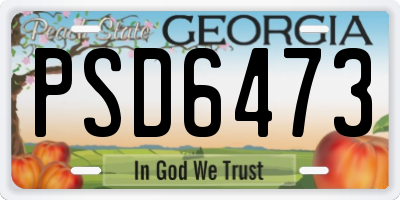 GA license plate PSD6473