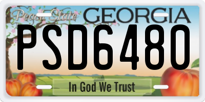 GA license plate PSD6480
