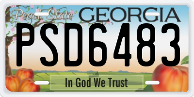 GA license plate PSD6483