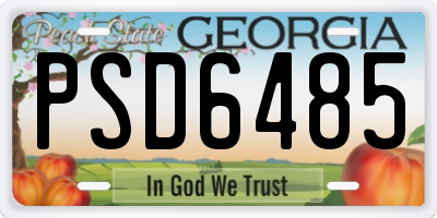 GA license plate PSD6485