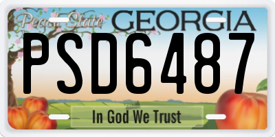 GA license plate PSD6487