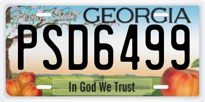 GA license plate PSD6499