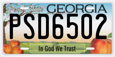 GA license plate PSD6502