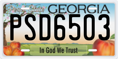 GA license plate PSD6503