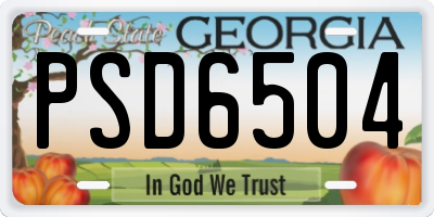 GA license plate PSD6504
