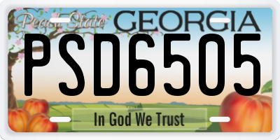 GA license plate PSD6505