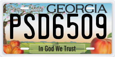 GA license plate PSD6509