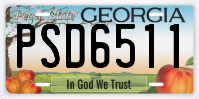 GA license plate PSD6511