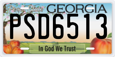 GA license plate PSD6513