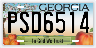 GA license plate PSD6514