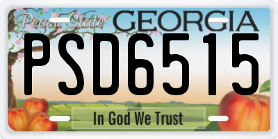 GA license plate PSD6515