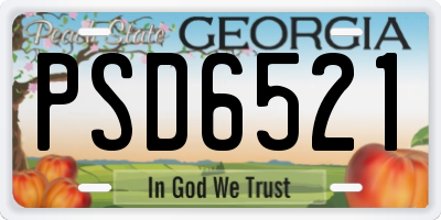 GA license plate PSD6521