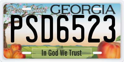 GA license plate PSD6523