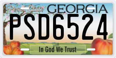 GA license plate PSD6524