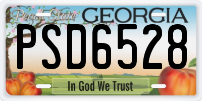 GA license plate PSD6528