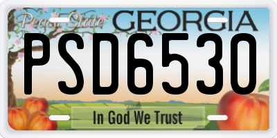 GA license plate PSD6530
