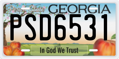 GA license plate PSD6531