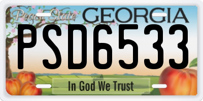 GA license plate PSD6533