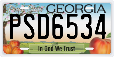 GA license plate PSD6534