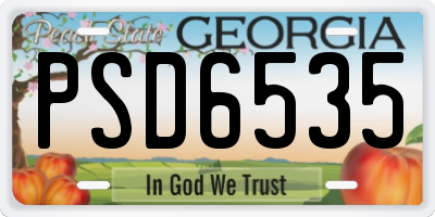 GA license plate PSD6535