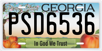 GA license plate PSD6536