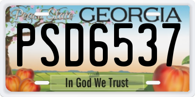 GA license plate PSD6537