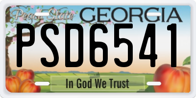 GA license plate PSD6541