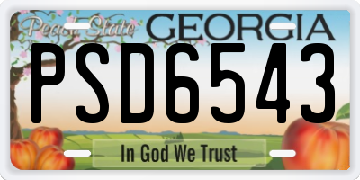 GA license plate PSD6543