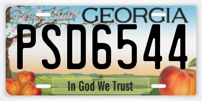 GA license plate PSD6544