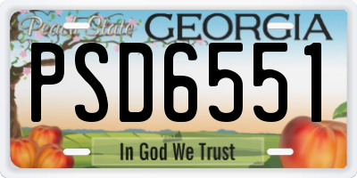 GA license plate PSD6551