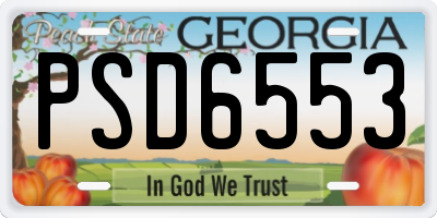 GA license plate PSD6553