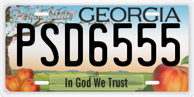 GA license plate PSD6555